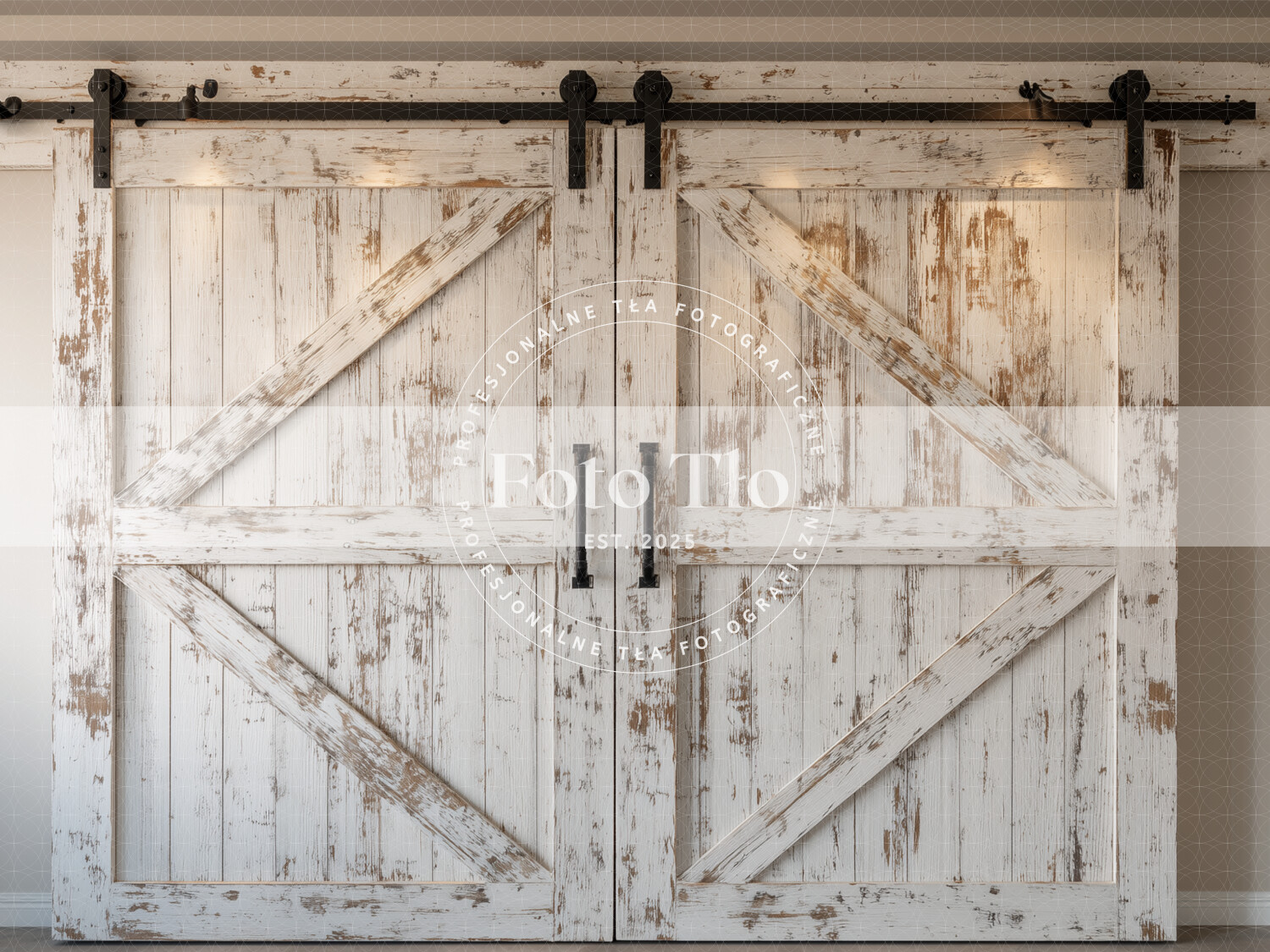 Tło fotograficzne - DOOR001