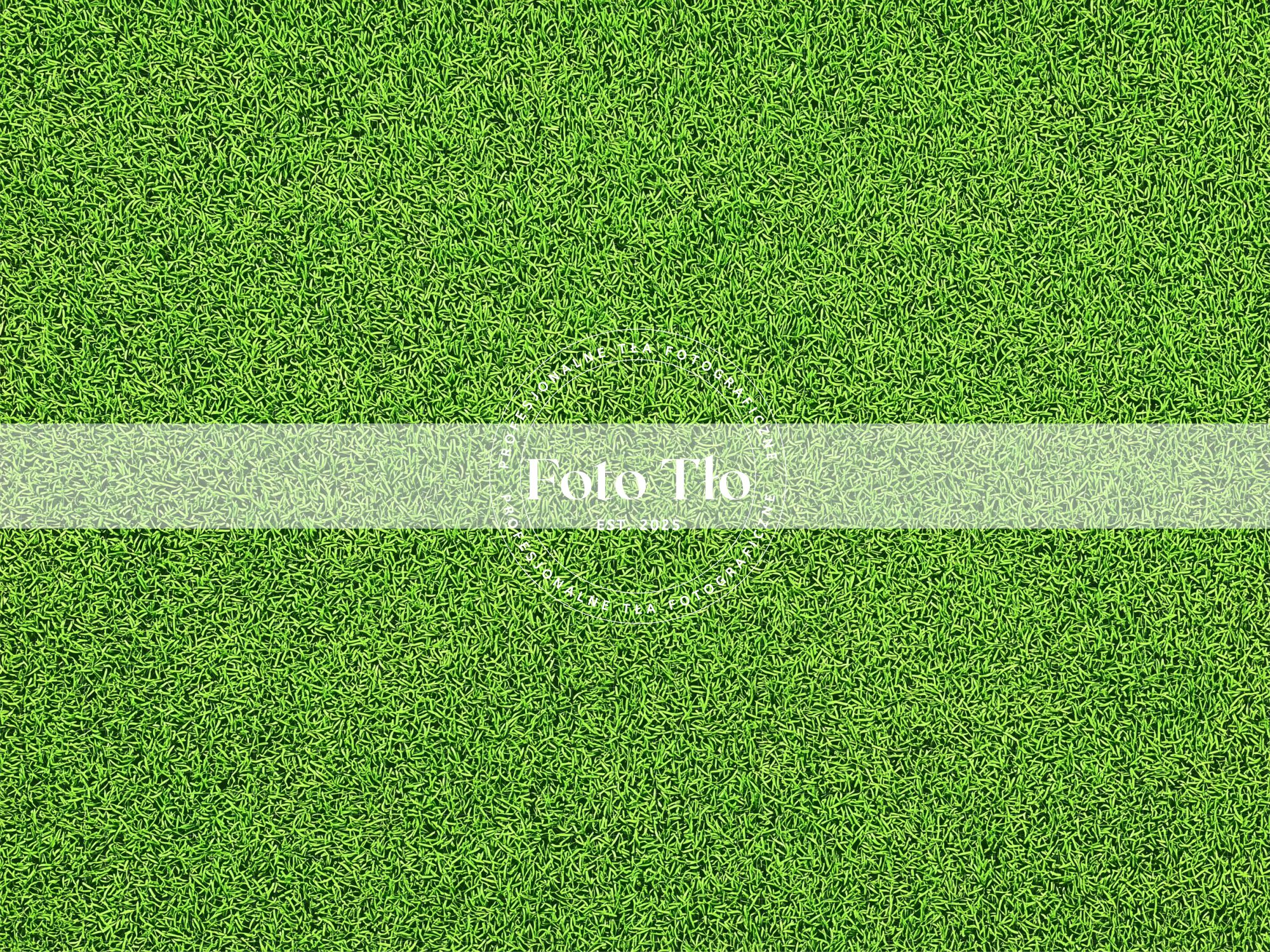 Tło fotograficzne Trawa - GRASS001