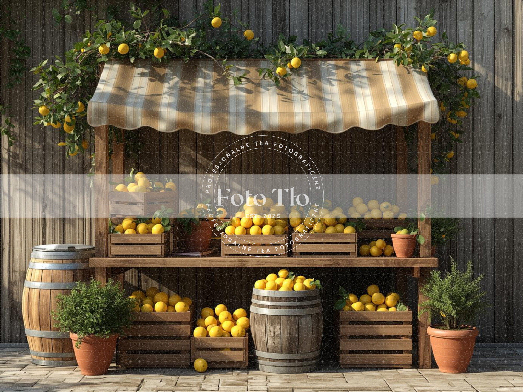 Tło fotograficzne - SUM009