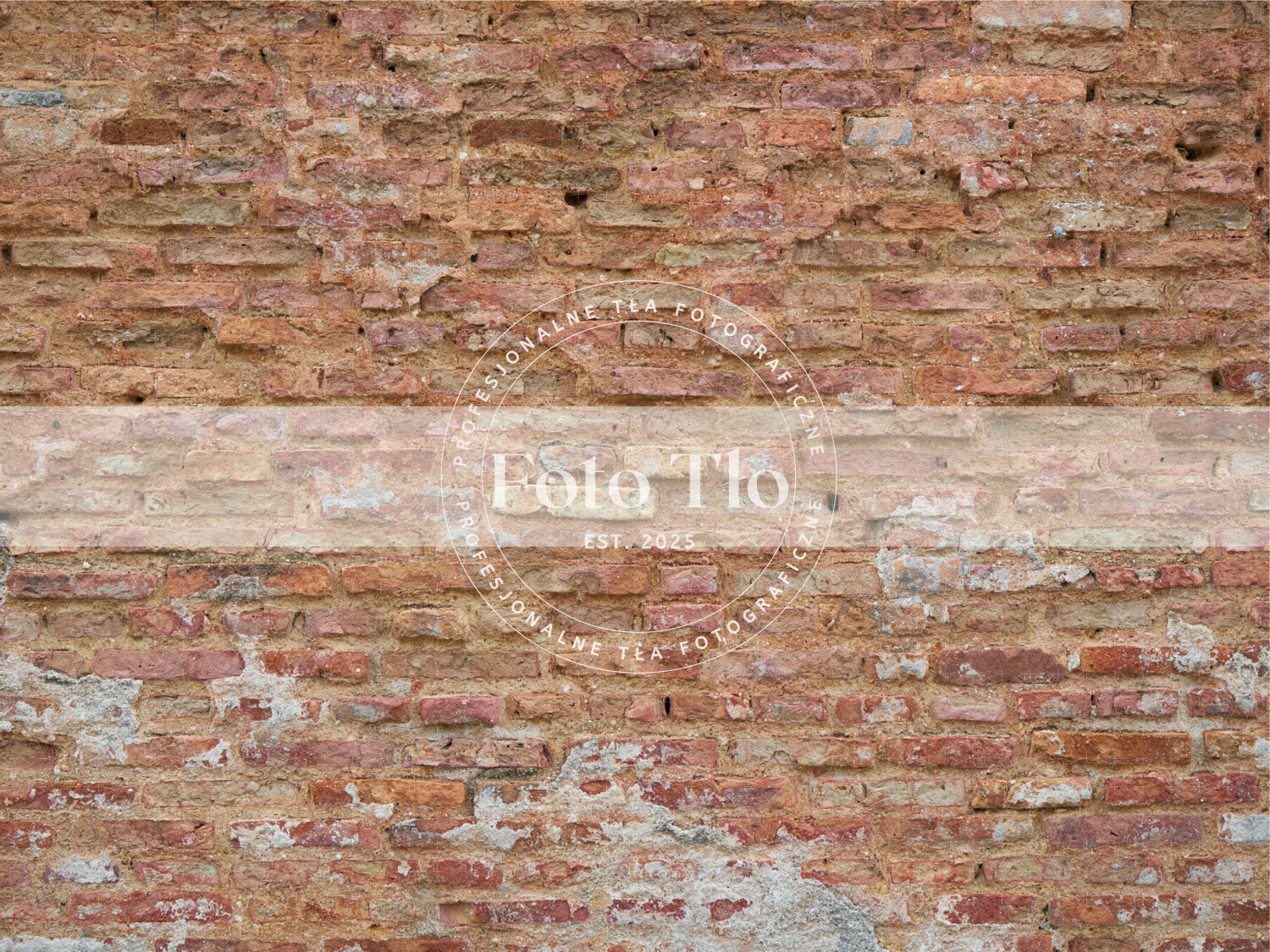 Tło fotograficzne - WALL001