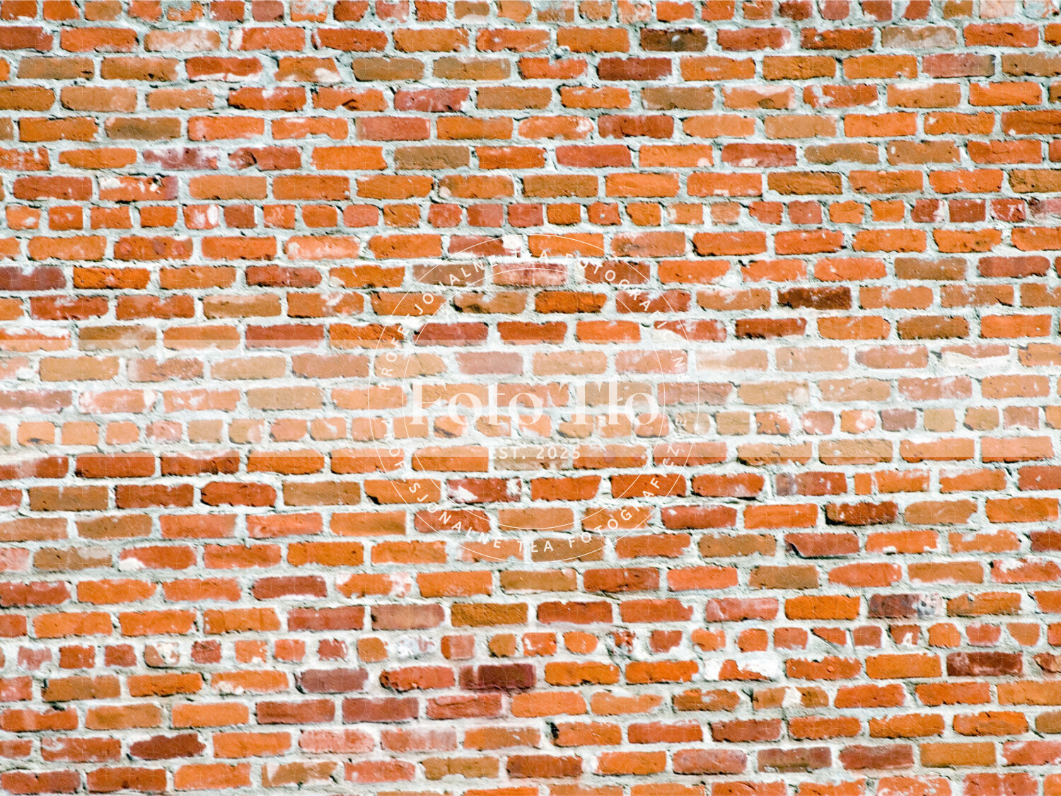 Tło fotograficzne - WALL002