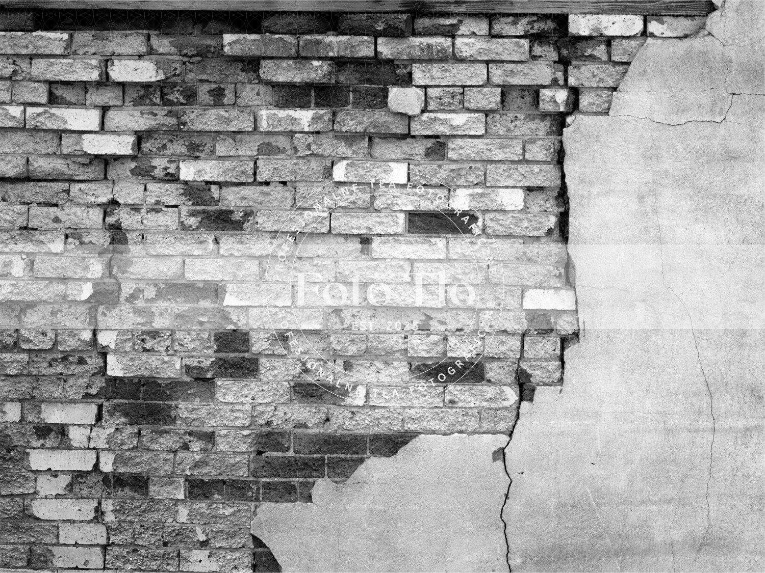 Tło fotograficzne - WALL004