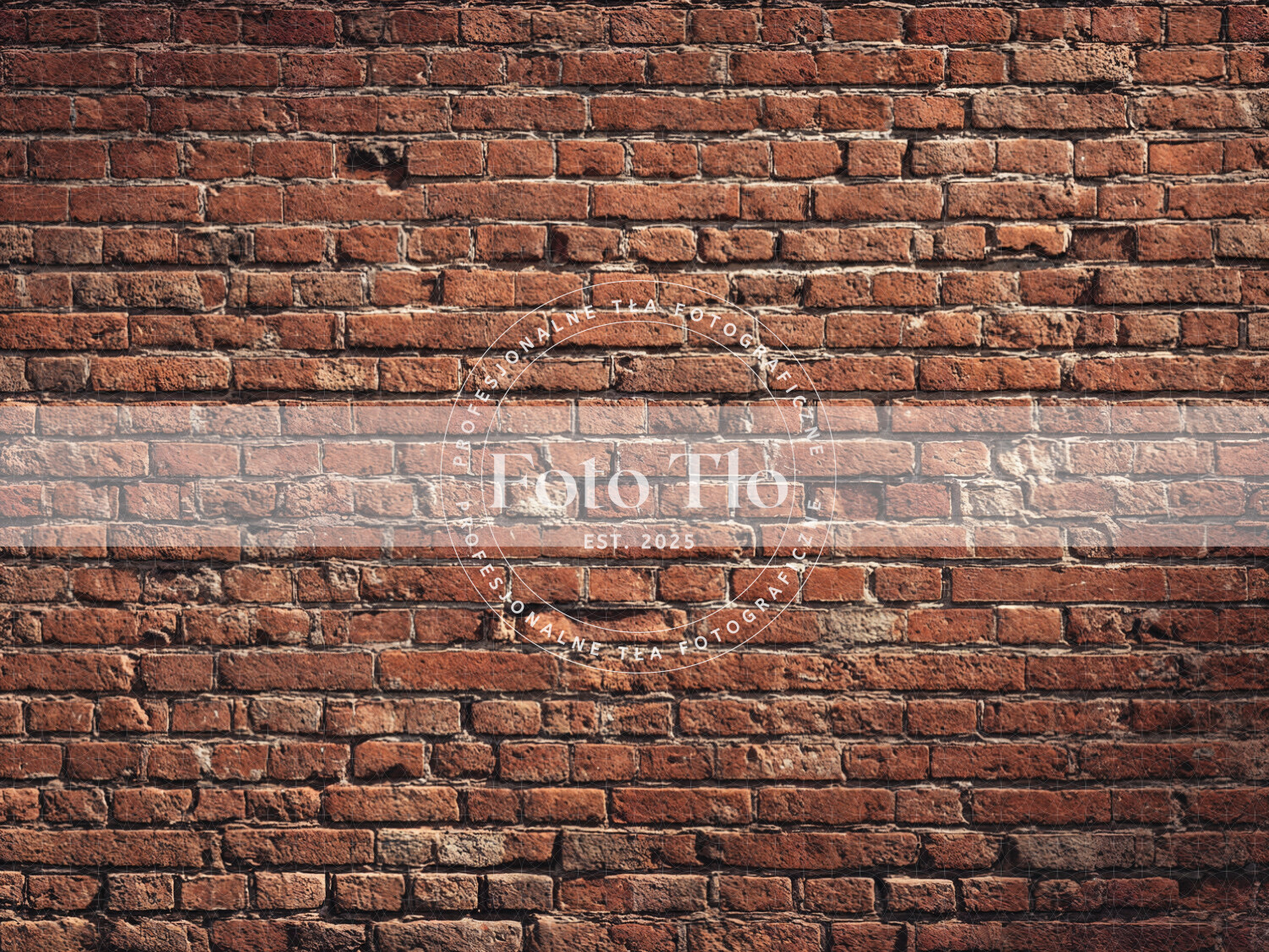 Tło fotograficzne - WALL008