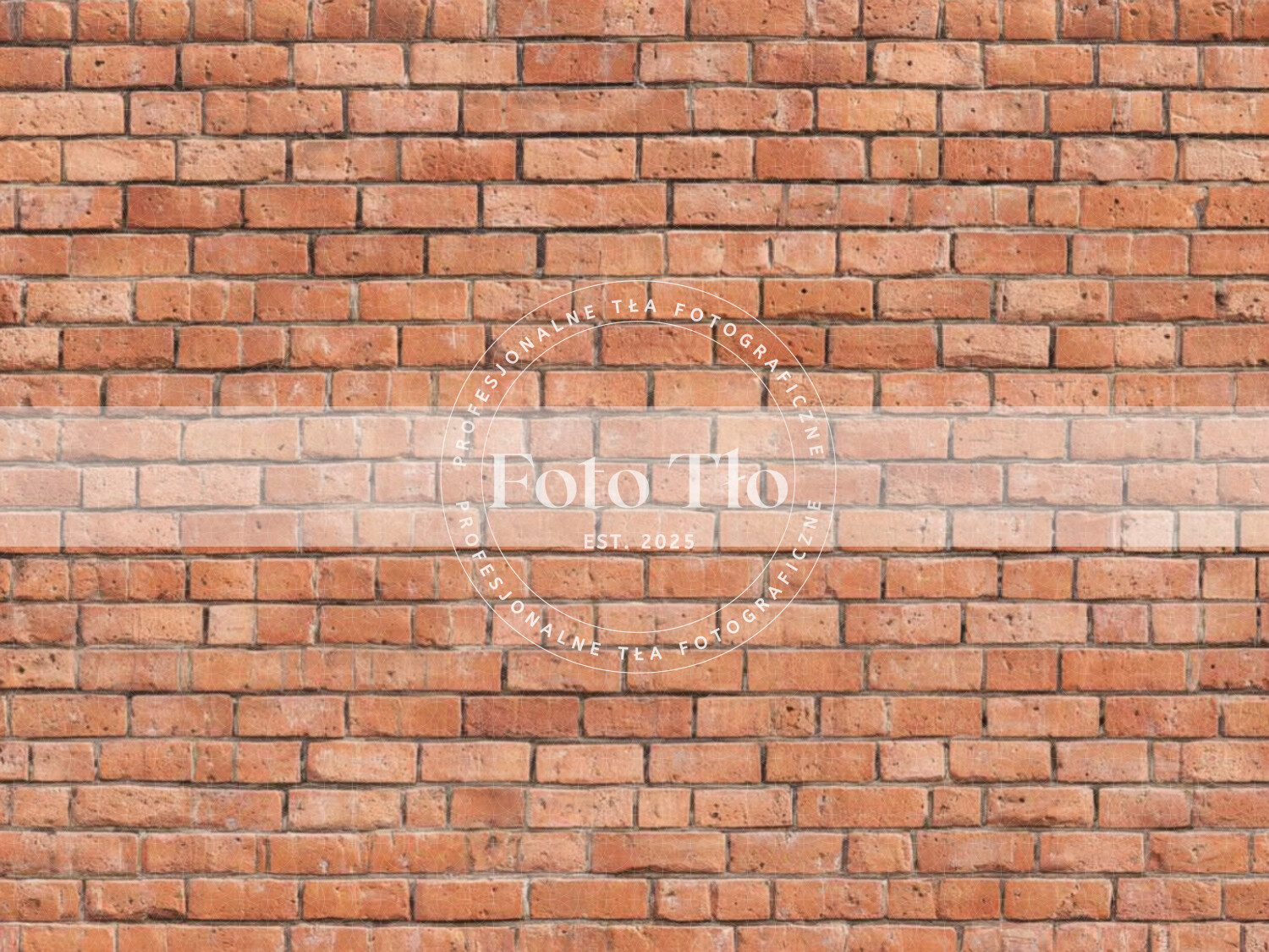 Tło fotograficzne - WALL011
