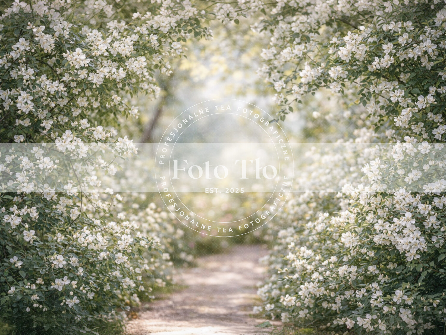 Tło fotograficzne - SUM019