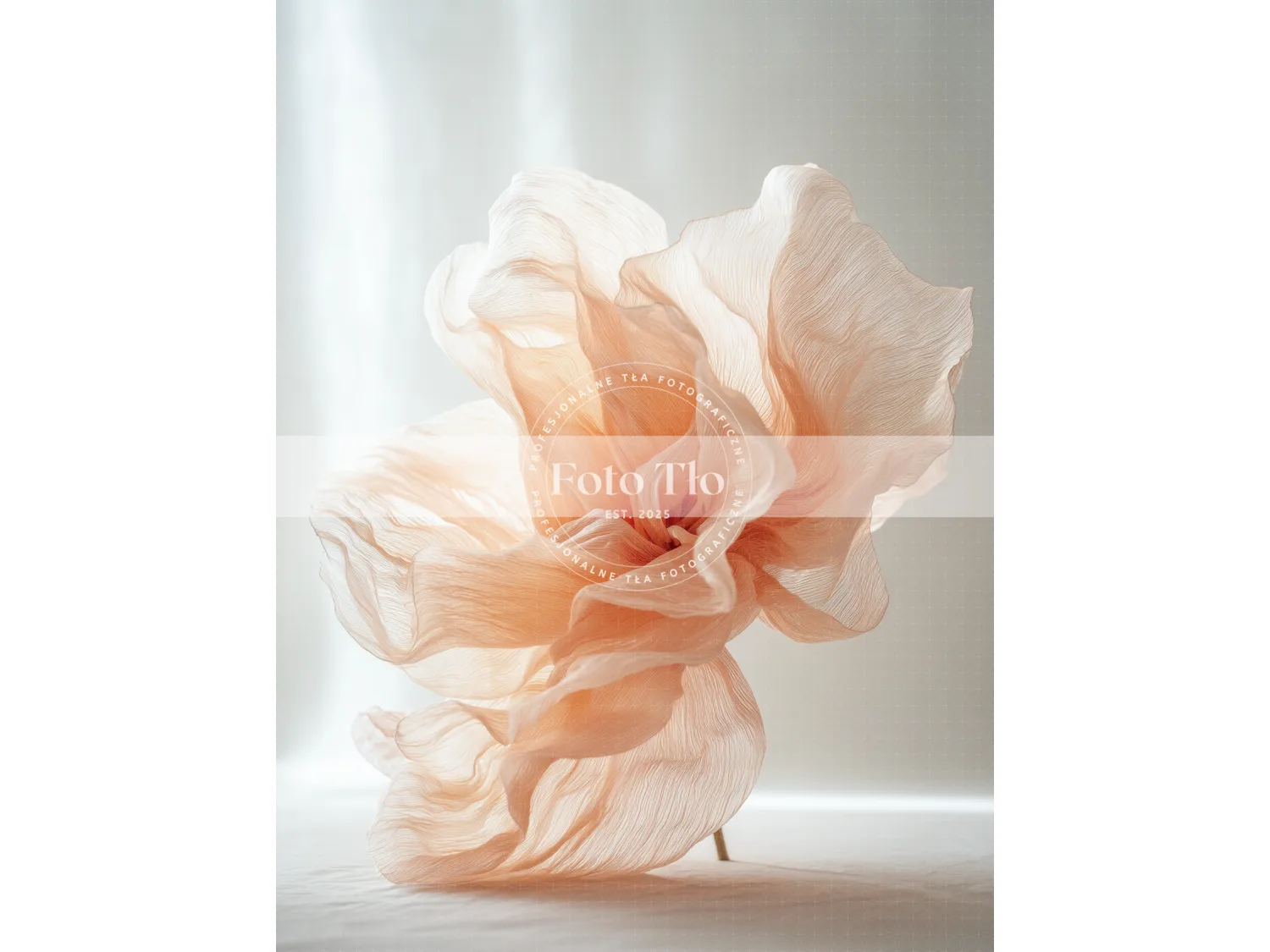 Tło fotograficzne  - SAI012