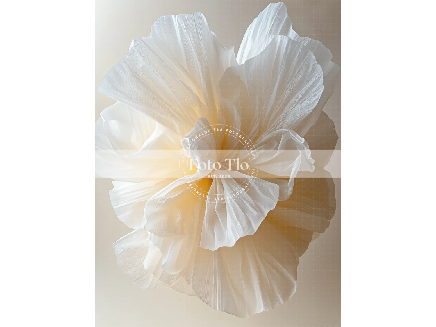 Tło fotograficzne  - SAI016