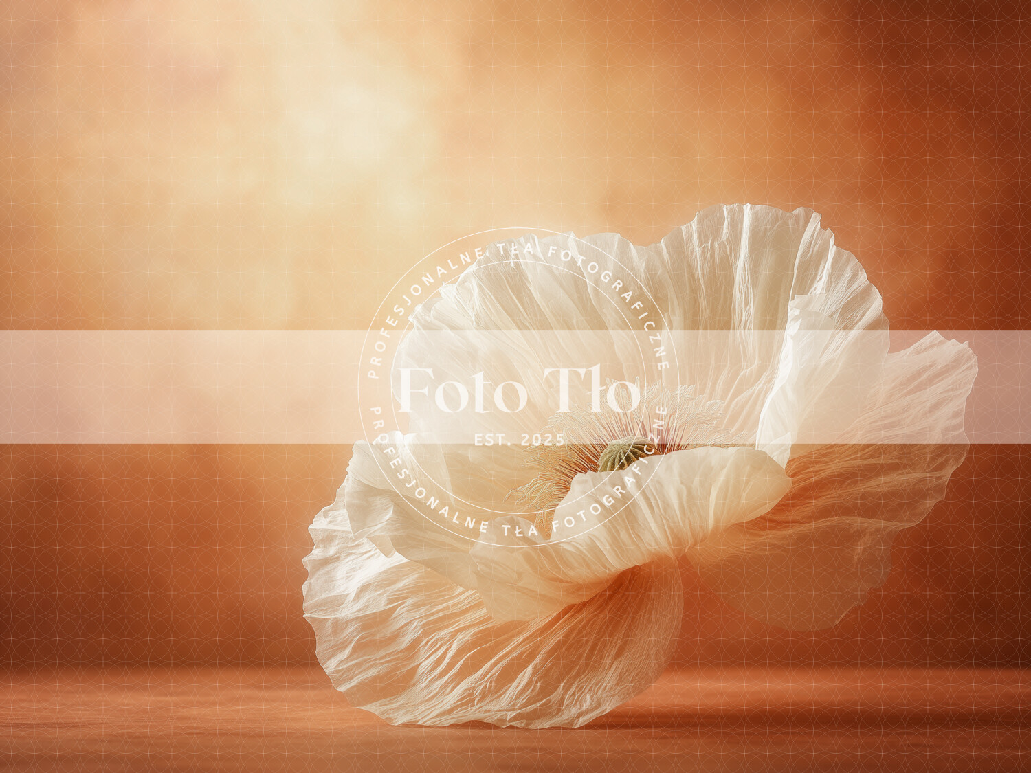 Tło fotograficzne  - SAI022
