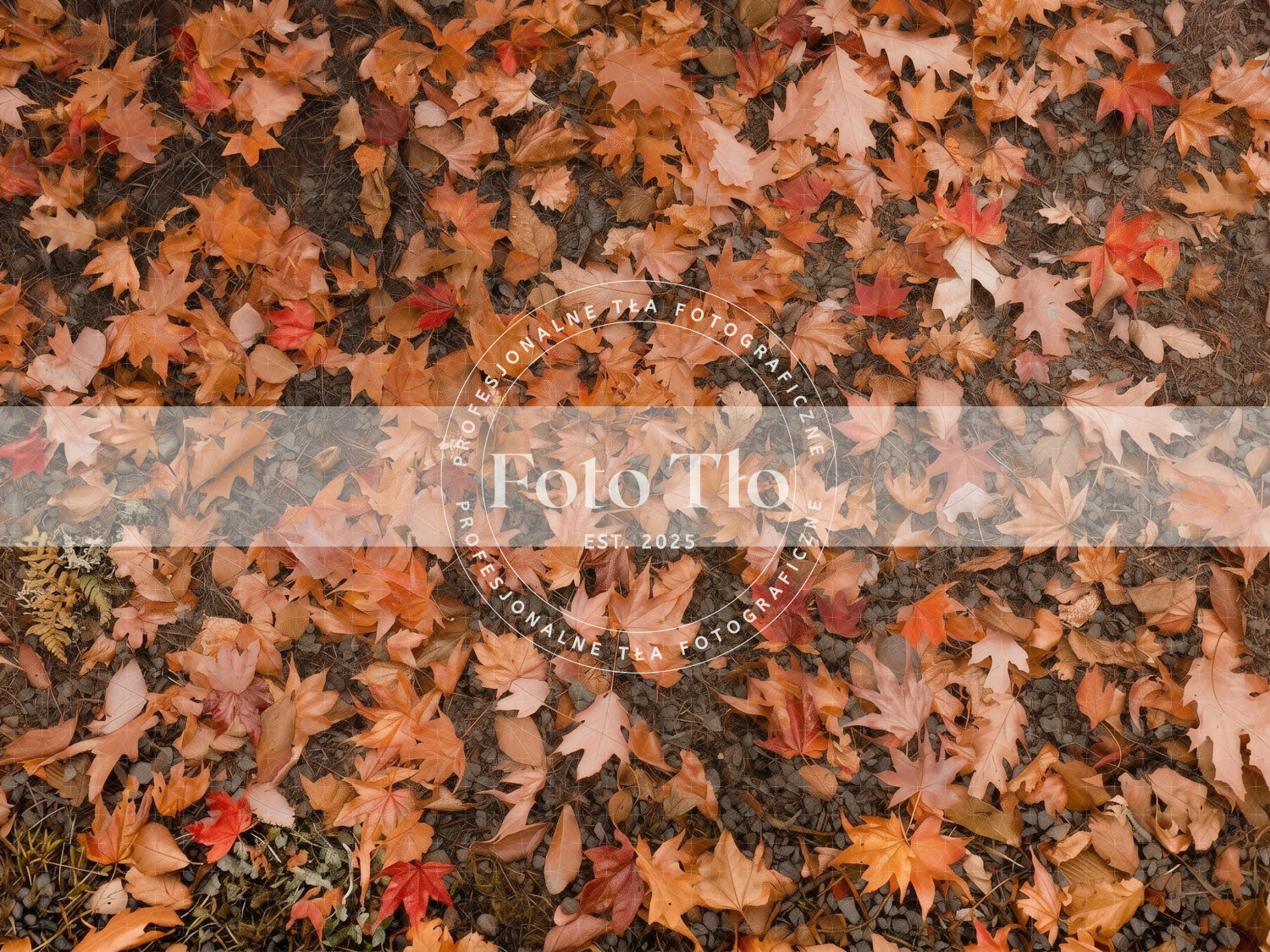 Tło fotograficzne Podłogi -  LEAVES001