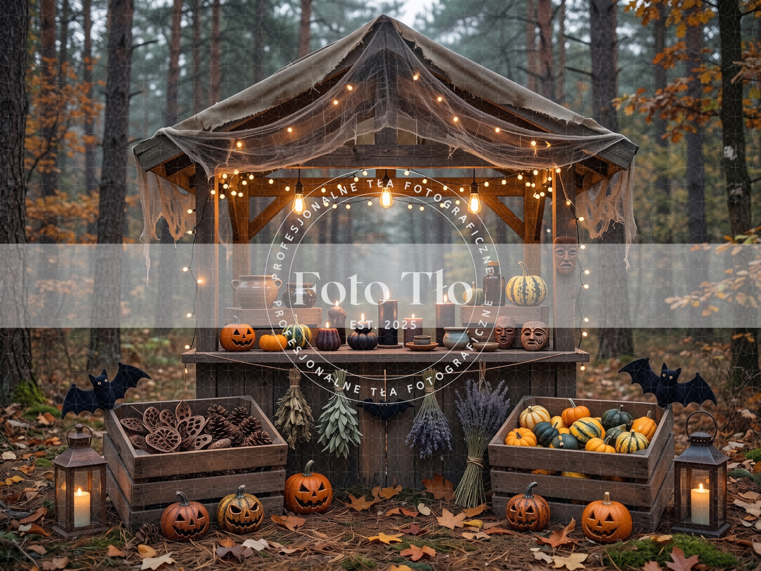 Tło fotograficzne - HALL032