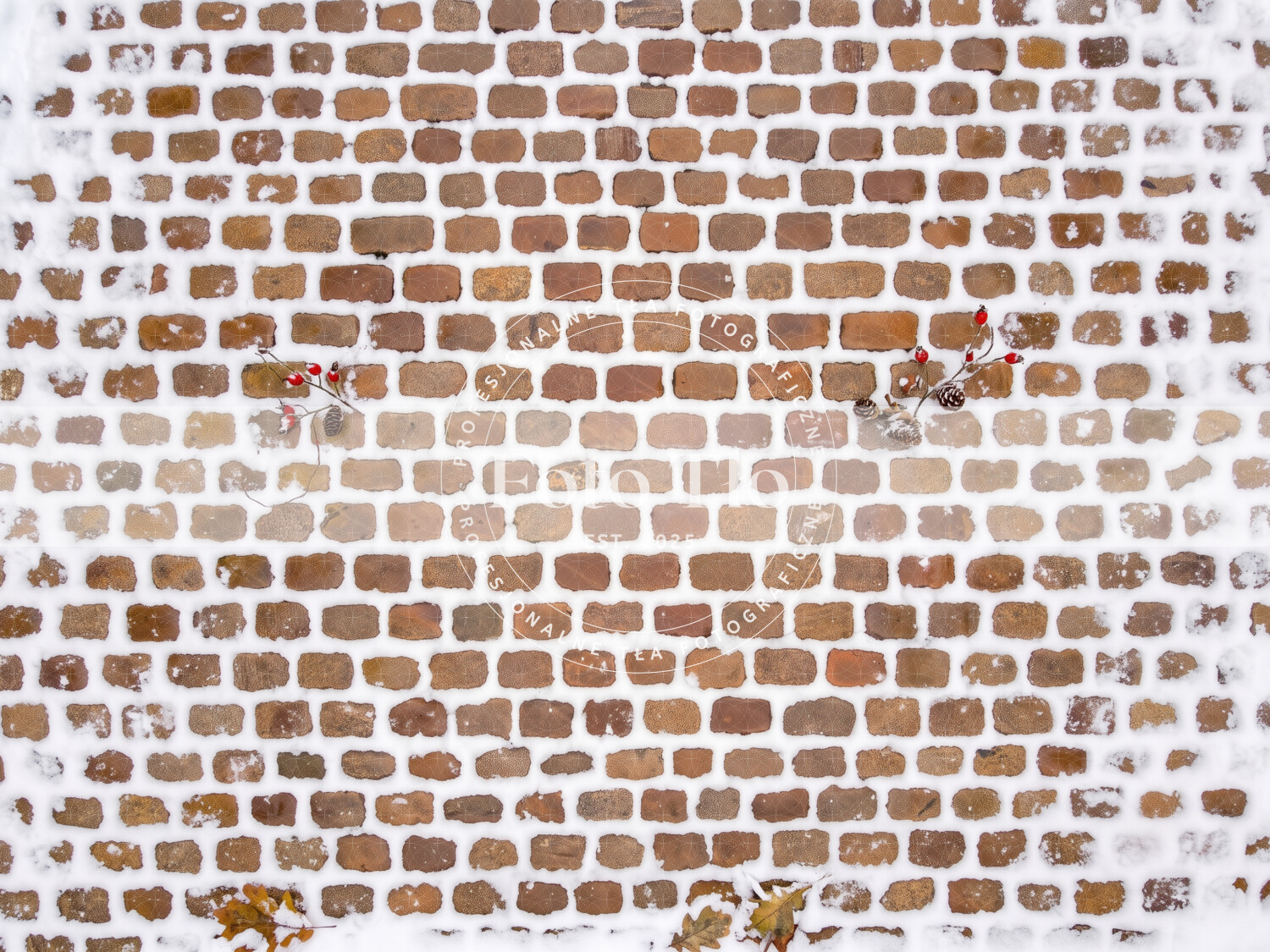 Tło fotograficzne podłoga Kamień i bruk -  STONE013